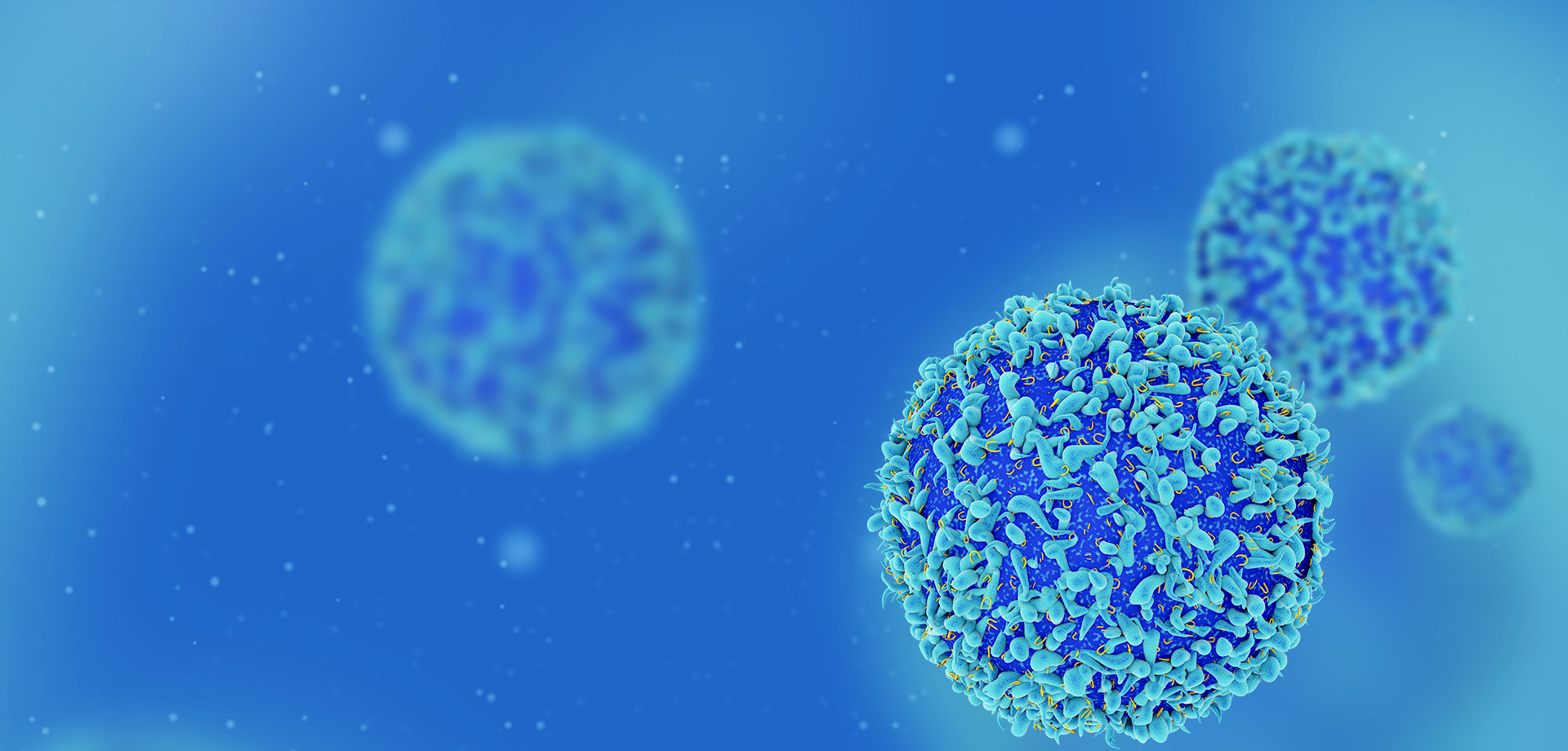 成為全球細(xì)胞免疫治療領(lǐng)域的領(lǐng)導(dǎo)者之一。